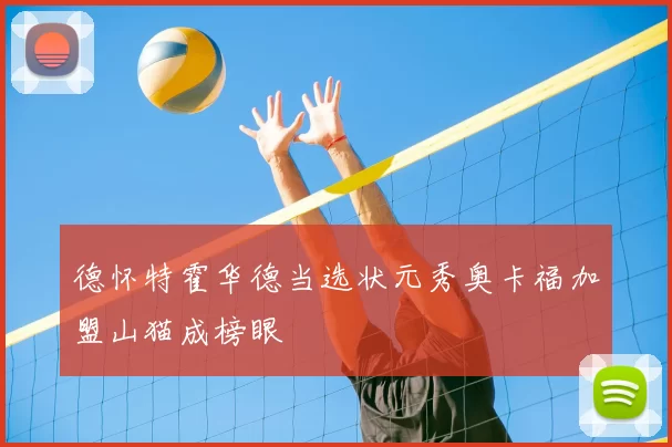 德怀特霍华德当选状元秀奥卡福加盟山猫成榜眼