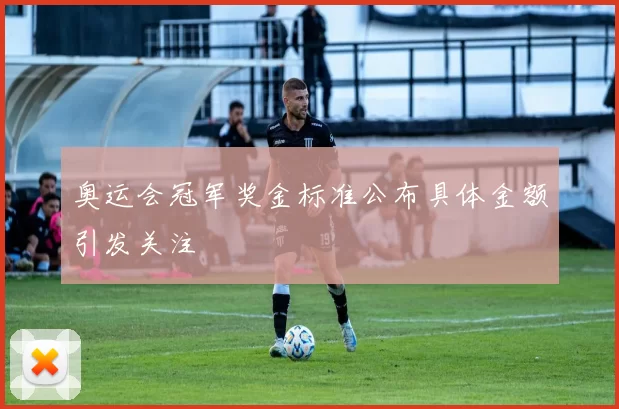 奥运会冠军奖金标准公布具体金额引发关注