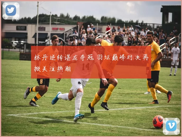 林丹逆转谌龙夺冠 羽坛巅峰对决再掀关注热潮