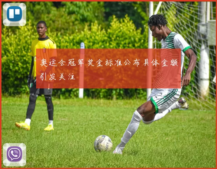 奥运会冠军奖金标准公布具体金额引发关注