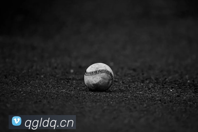 乐动在线平台 - 乐动在线官网APP 封面图